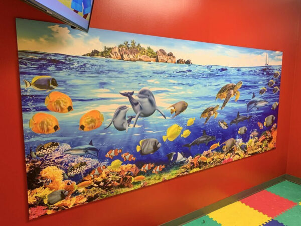 After Fish are removable for kids to move around